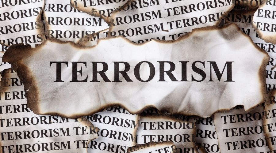 thesis on domestic terrorism